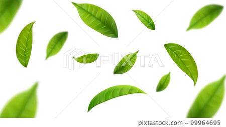 Realistic green tea leaves in motion 99964695