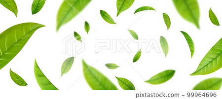 Realistic green tea leaves in motion 99964696