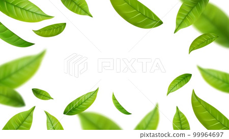 Realistic green tea leaves in motion 99964697