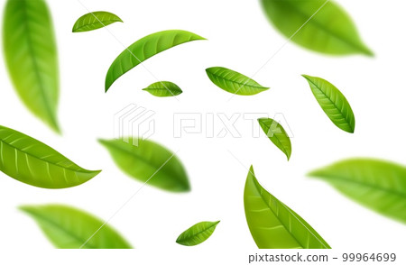 Realistic green tea leaves in motion 99964699
