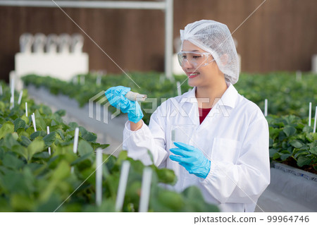 Young asian woman check water quality for cultivation strawberry with happiness. 99964746