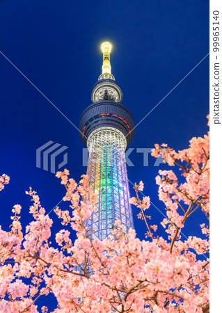 東京晴空塔_河津櫻花夜景 99965140