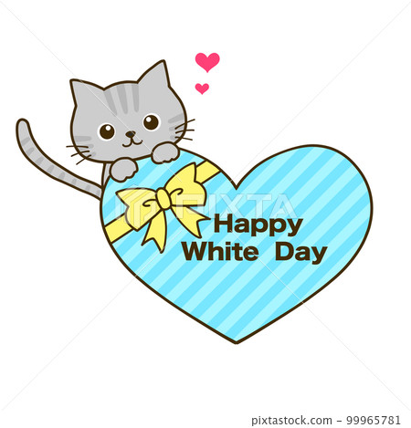 White day heart chocolate and gray tabby cat White day heart chocolate and gray tabby cat 99965781
