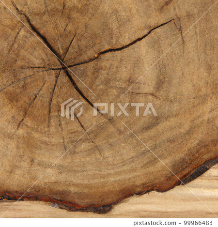 texture cut of old wood transverse 99966483