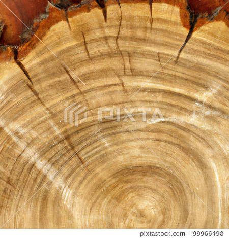 texture cut of old wood transverse 99966498