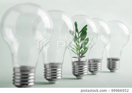 Environmental protection, renewable, sustainable energy sources. Transparent light bulbs with one different idea on green background. Plant growing in the bulb concept Environmental protection, renewable, sustainable energy sources. Transparent light bulbs with one different idea on green background. Plant growing in the bulb concept 99966932