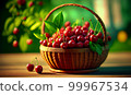 a wicker basket with cherries stands on the table against the backdrop of a cherry orchard. 99967534