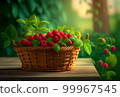 a wicker basket with raspberries stands on the table against the backdrop of a green garden. 99967545