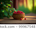 a wicker basket with raspberries stands on the table against the backdrop of a green garden. 99967548