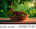 a wicker basket with cherries stands on the table against the backdrop of a cherry orchard. 99967549