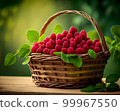 a wicker basket with raspberries stands on the table against the backdrop of a green garden. 99967550