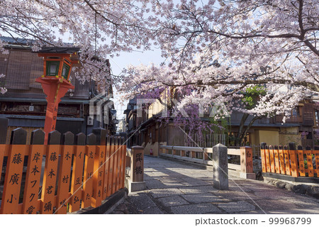 櫻花盛開的京都祗園白川辰巳橋 櫻花盛開的京都祗園白川辰巳橋 99968799