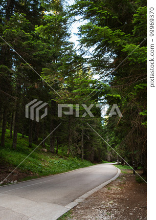 Very beautiful road in the forest. Dense forest in Durmitor National Park, Montenegro. Very beautiful road in the forest. Dense forest in Durmitor National Park, Montenegro. 99969370