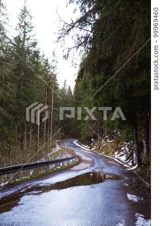 The road in the forest among the dense forest, Christmas trees, pine trees. Snow lies The road in the forest among the dense forest, Christmas trees, pine trees. Snow lies 99969460