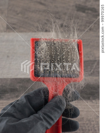 fluffy Pets hygiene 99970165