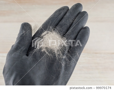 fluffy Pets hygiene 99970174