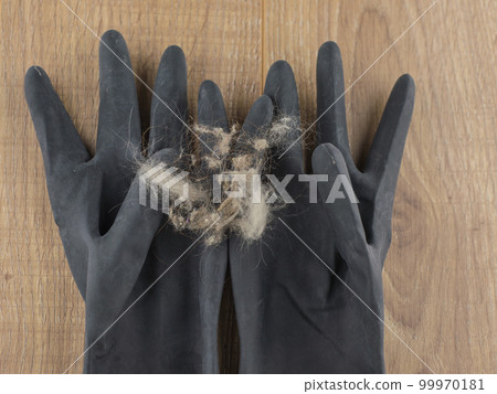 dangerous allergens inside the home 99970181