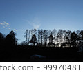 Tree silhouette and sky landscape 99970481