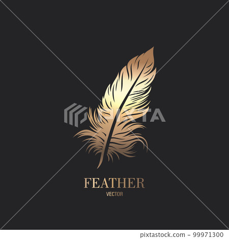 Vector Fluffy Golden Color Feather Logo Icon, Silhouette Feather Closeup Isolated. Design Template of Flamingo, Angel, Bird Feather. Lightness, Freedom Concept Vector Fluffy Golden Color Feather Logo Icon, Silhouette Feather Closeup Isolated. Design Template of Flamingo, Angel, Bird Feather. Lightness, Freedom Concept 99971300