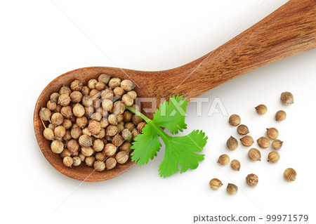 Dried coriander seeds in the wooden spoon with fresh green leaf isolated on white background. Top view. Flat lay Dried coriander seeds in the wooden spoon with fresh green leaf isolated on white background. Top view. Flat lay 99971579