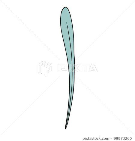 Lavender flower. Provence floral herb with purple blooms. Botanical drawing of French field Lavandula. Blossomed lavander. Colored hand-drawn vector illustration isolated on white background 99973260