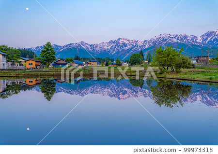 [初夏食材]白馬村Morgenroth和水鏡[長野縣] 99973318