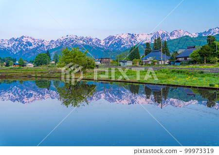 [初夏食材]白馬村Morgenroth和水鏡[長野縣] 99973319