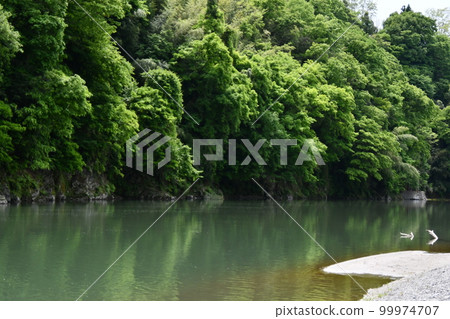 Scenery with forest and river Beautiful scenery 99974707