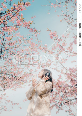 Photo of a woman listening to music with a cherry blossom background Photo of a woman listening to music with a cherry blossom background 99975288