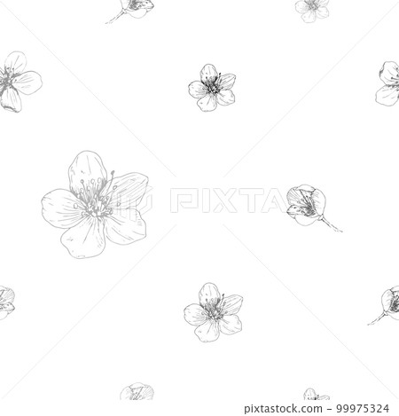 Hand drawn seamless pattern vector of black and white spring sakura, flowers, blooming floral elements. 99975324