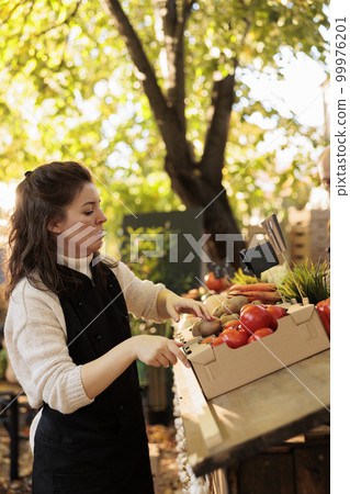 Woman vendor arranging fresh organic produce on stall, putting cardboard boxes with fruits and veggies. Small farming business concept with person working at local healthy farmers market. Woman vendor arranging fresh organic produce on stall, putting cardboard boxes with fruits and veggies. Small farming business concept with person working at local healthy farmers market. 99976201