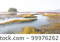 Beautiful tidal flats colorfully embroidered with red and yellow foliage in the early autumn morning 99976262