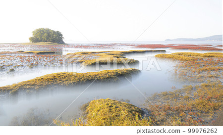 初秋的早晨,美麗的潮灘上繡著紅黃兩色的樹葉 初秋的早晨,美麗的潮灘上繡著紅黃兩色的樹葉 99976262