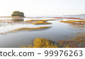Beautiful tidal flats colorfully embroidered with red and yellow foliage in the early autumn morning 99976263
