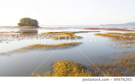 Beautiful tidal flats colorfully embroidered with red and yellow foliage in the early autumn morning 99976263