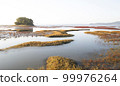 Beautiful tidal flats colorfully embroidered with red and yellow foliage in the early autumn morning 99976264