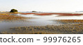 Beautiful tidal flats colorfully embroidered with red and yellow foliage in the early autumn morning 99976265