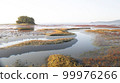 Beautiful tidal flats colorfully embroidered with red and yellow foliage in the early autumn morning 99976266