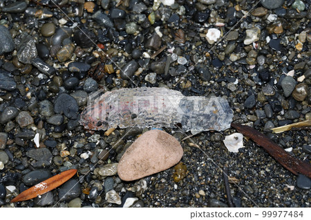 Flotsam okeni Flotsam okeni 99977484