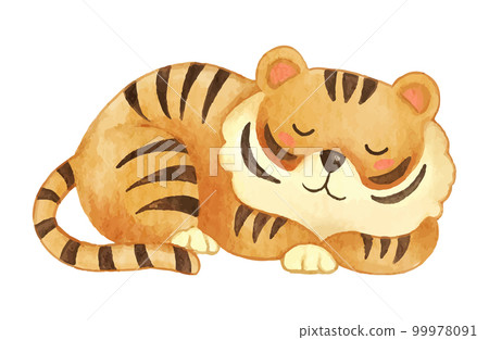 Tiger . Watercolor paint design . Cute animal cartoon character . Sleep position . Vector . Tiger . Watercolor paint design . Cute animal cartoon character . Sleep position . Vector . 99978091
