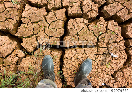 Walking along the bottom of a dried-up reservoir with cracks in the drying of clay silt 99979785