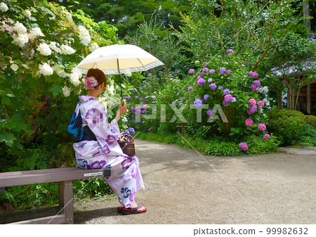 寺廟裡盛開的繡球花和浴衣的女人 寺廟裡盛開的繡球花和浴衣的女人 99982632