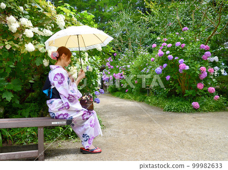Hydrangea blooming in a temple and a woman in a yukata Hydrangea blooming in a temple and a woman in a yukata 99982633