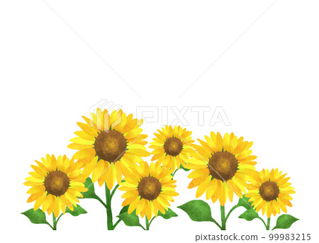 Summer sunflower background pattern 1 99983215