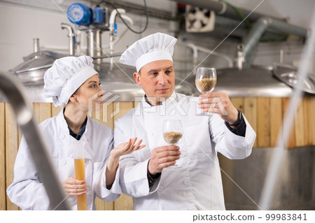 Woman and man brewers examining malted grain in brewery 99983841