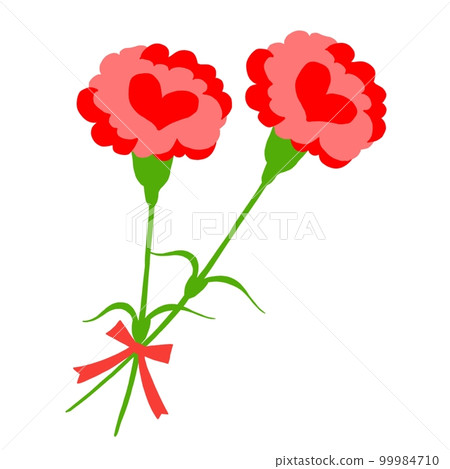 Carnation Carnation 99984710