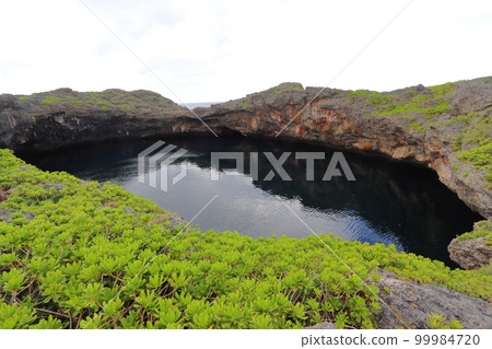 下地島（宮古島）的鳥池和 Terixatubera 的殖民地 99984720