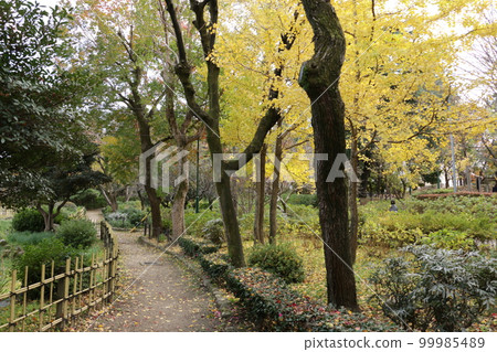 鶴舞公園日本庭園的步行道 99985489