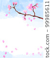 Spring frame with dancing cherry blossoms 99985611