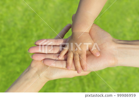 A close-up of a young child and his parents' palms on the grass. image of family and love A close-up of a young child and his parents' palms on the grass. image of family and love 99986959